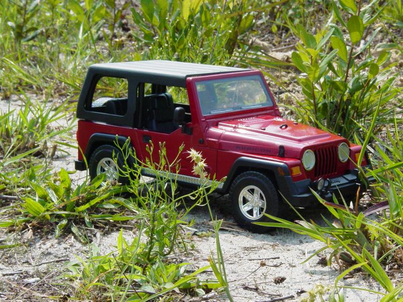 Rubicon parking lot jungle - Click to Enlarge