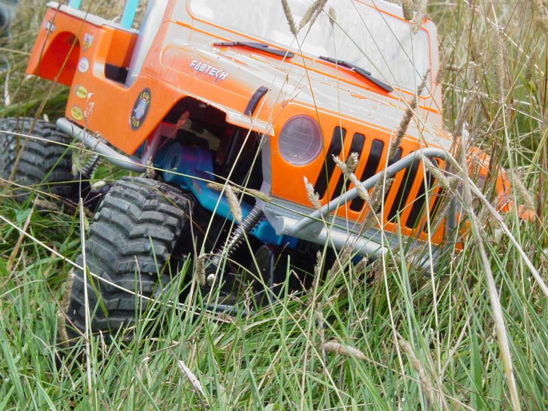 Not Stuck in the Grass - Click to Enlarge
