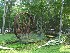 Cool Springs Park - Early Implements