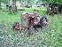 Cool Springs Park - Early Implements