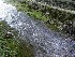 Cool Springs Park - Sluice