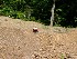 Movie: mov08680.mpg RC Hill Climbing