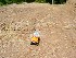 Movie: mov08681.mpg RC Hill Climbing