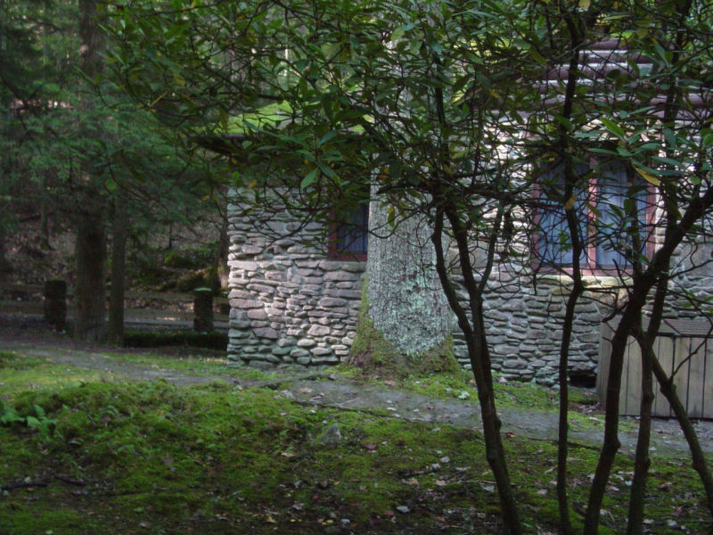 Another Cabin - Click to Enlarge