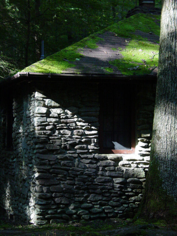 Another Cabin