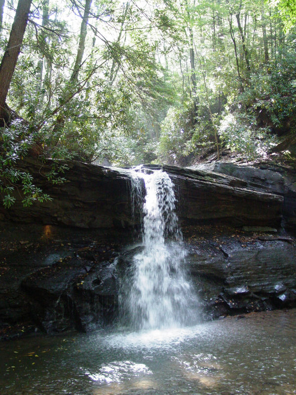 Fall Run Falls