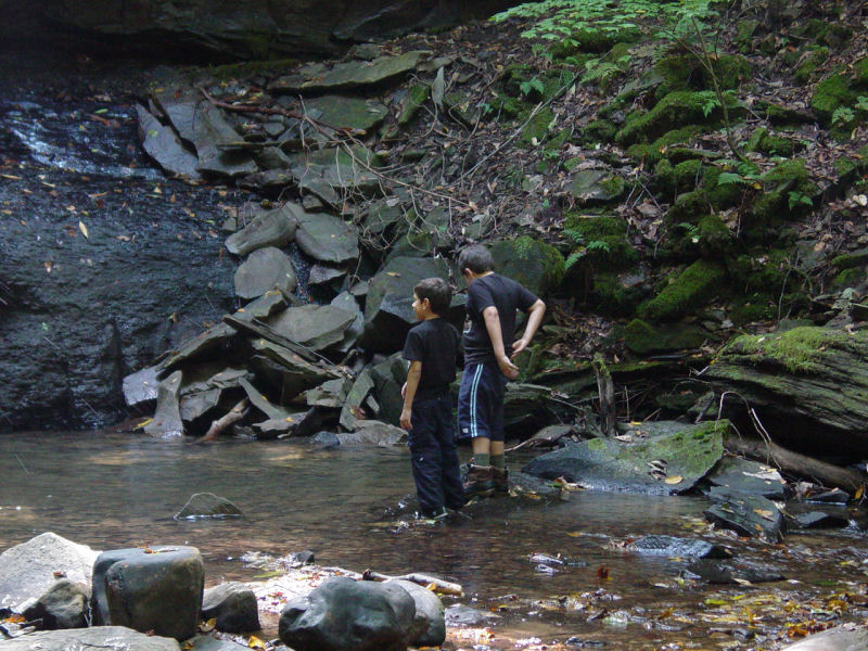Fall Run Falls - Click to Enlarge
