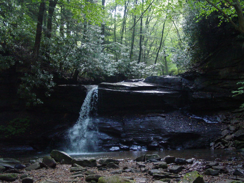 Fall Run Falls - Click to Enlarge