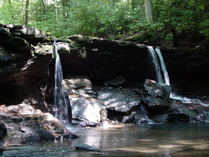 Falls on Left Fork Holly River at Big Run