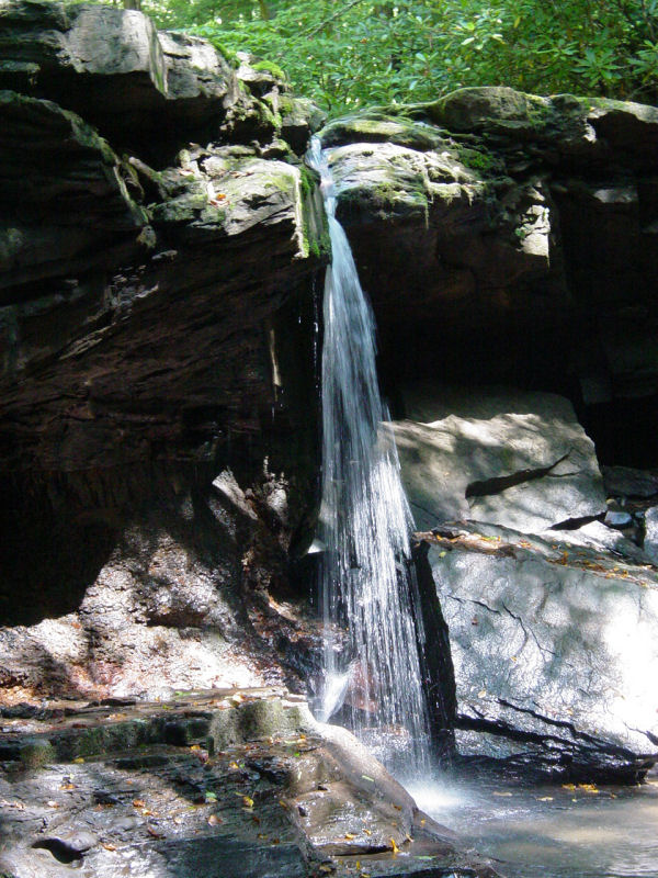 Falls on Left Fork Holly River