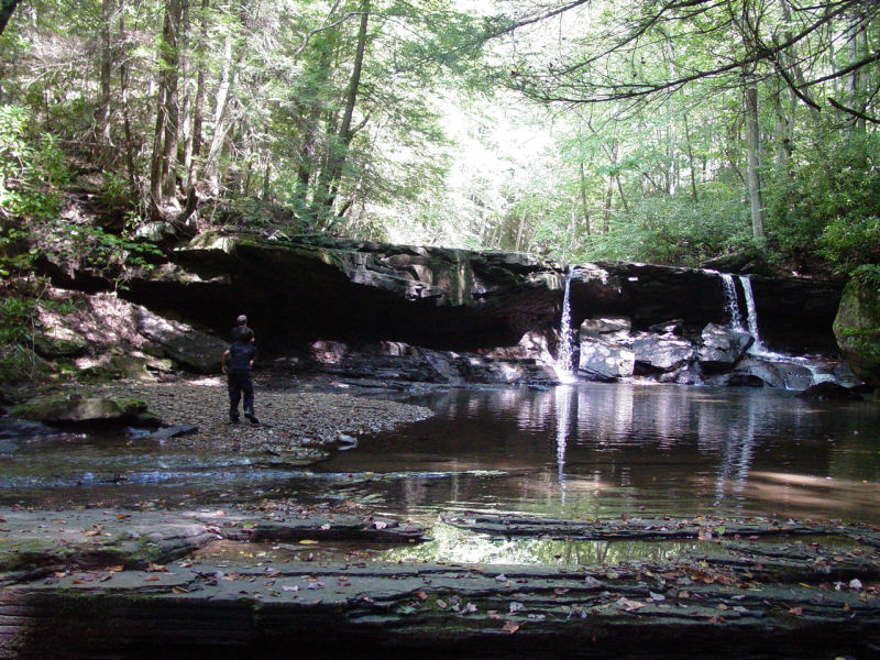 Falls on Left Fork Holly River - Click to Enlarge