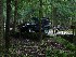 Jeep Parking