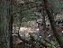 Kids near the Laurel Fork stream