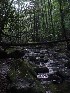 Laurel Fork stream