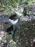 Shupe's Chute