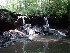 Falls on Left Fork Holly River