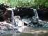 Falls on Left Fork Holly River