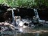 Falls on Left Fork Holly River