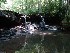 Falls on Left Fork Holly River