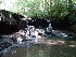 Falls on Left Fork Holly River