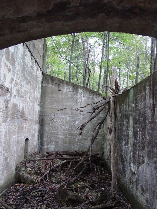 Scattered Remains