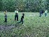 Tom playing Horseshoes