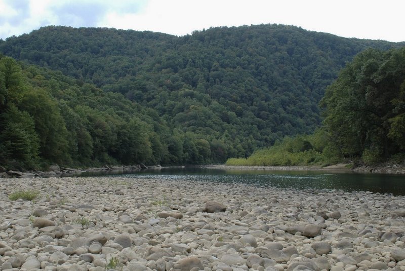 Cheat River - Down the Cheat - Bee Run