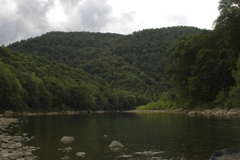 Cheat River - Down the Cheat - Bee Run