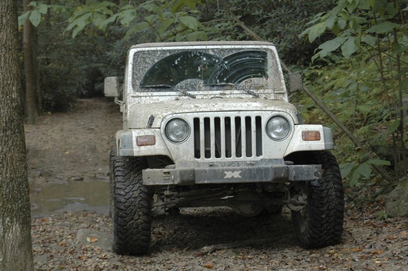 Cheat River - Down the Cheat - Bee Run