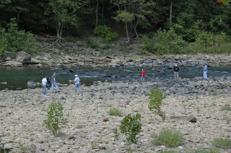 Cheat River - Down the Cheat - Bee Run