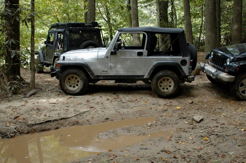 Cheat River - Down the Cheat - Bee Run