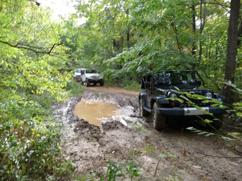 Mudholes on the Way to Scattered Remains
