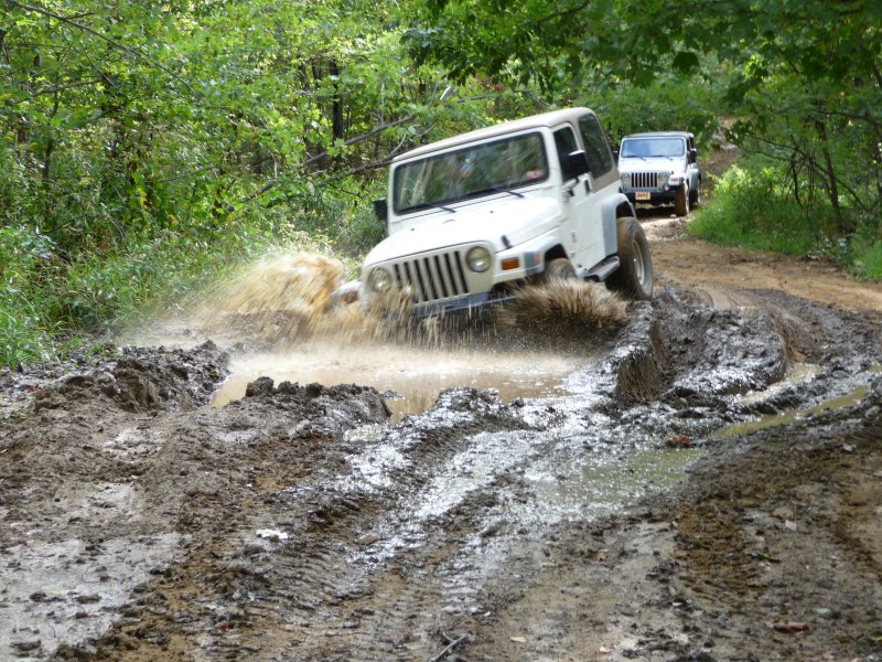 Mudholes on the Way to Scattered Remains