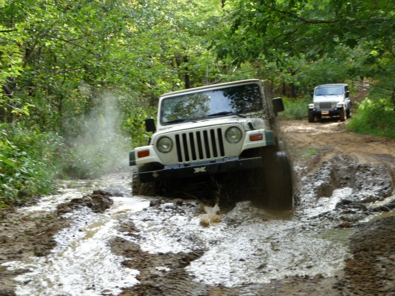 Mudholes on the Way to Scattered Remains