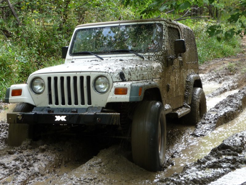 Mudholes on the Way to Scattered Remains