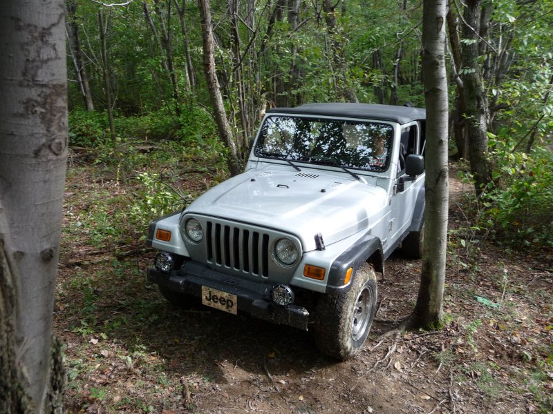 Bypass Around Mudholes on the Way to Scattered Remains