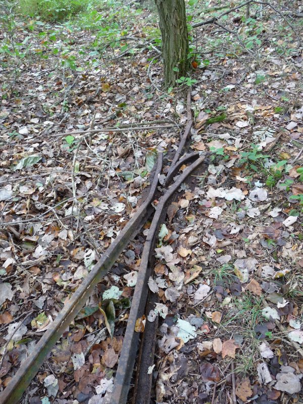 Rails near DuPont TNT Plant Ruins
