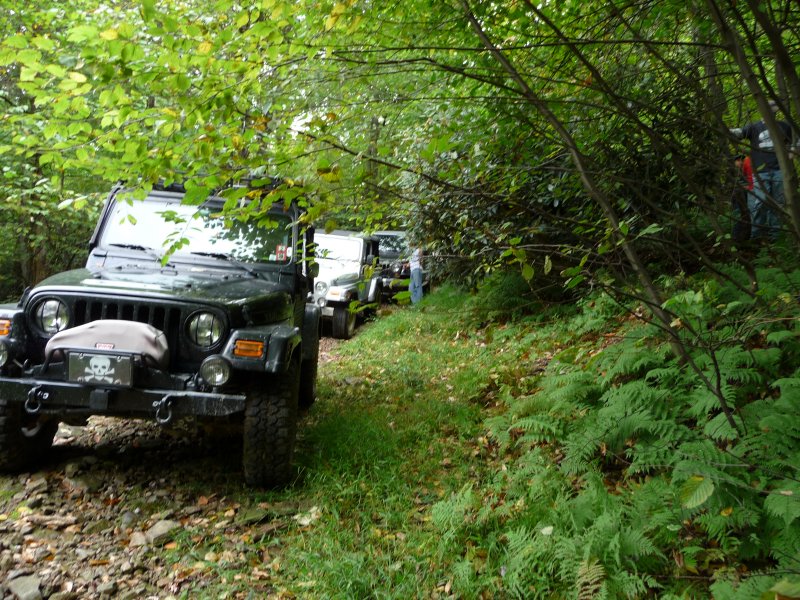 Parking at Polly Takes the Plunge