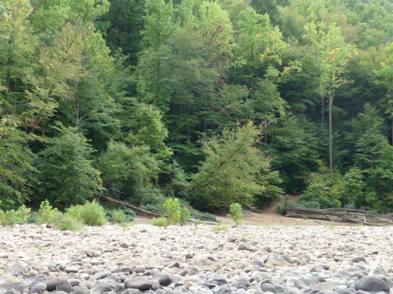 River Bed Rocks - Cheat River
