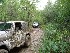 Mudholes on the Way to Scattered Remains