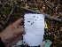 Cache Log