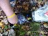 Polly Takes the Plunge Cache contents