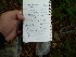 Cache Log Entry