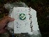 Cache Log Entry