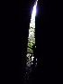 Cave View