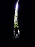 Cave View