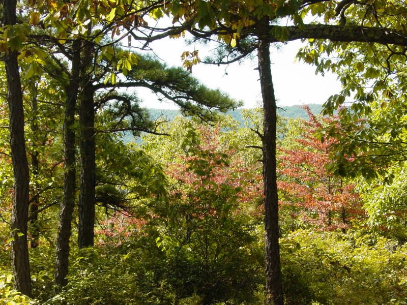 Lunch Spot on the Trail - Click to Enlarge
