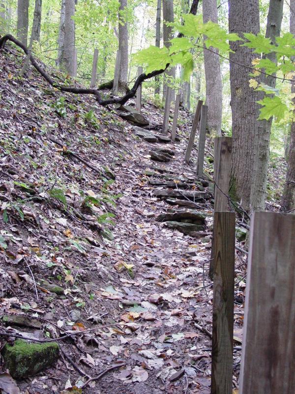Steps to Tecumseh Falls