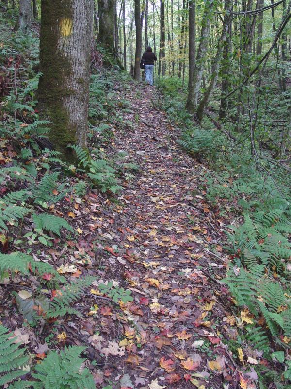 Maria on the Trail - Click to Enlarge