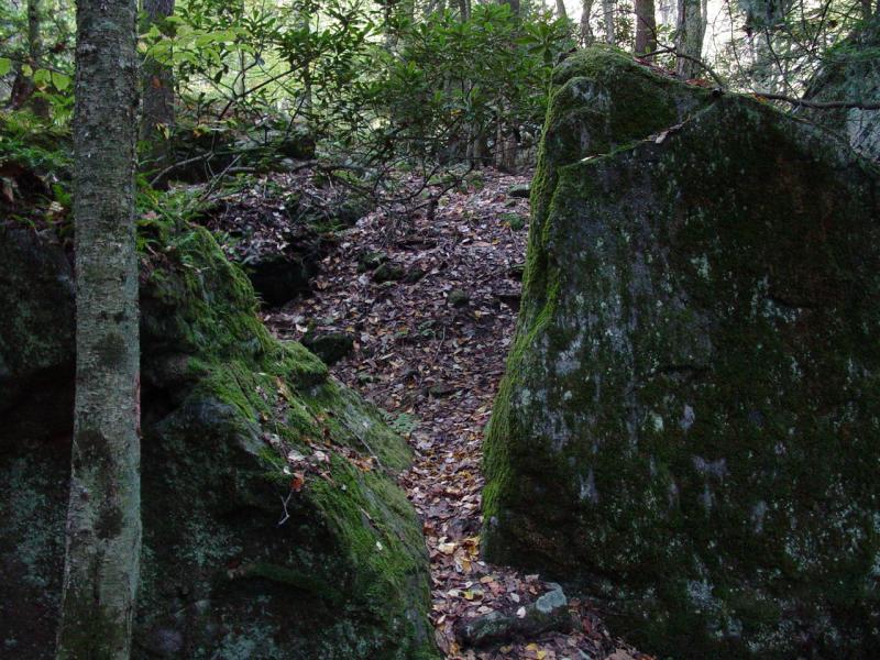 Rock Garden Self Guided Trail